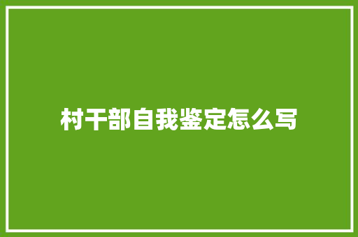 村干部自我鉴定怎么写