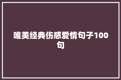 唯美经典伤感爱情句子100句