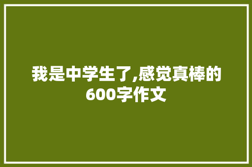 我是中学生了,感觉真棒的600字作文