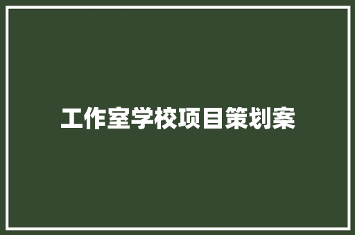 工作室学校项目策划案