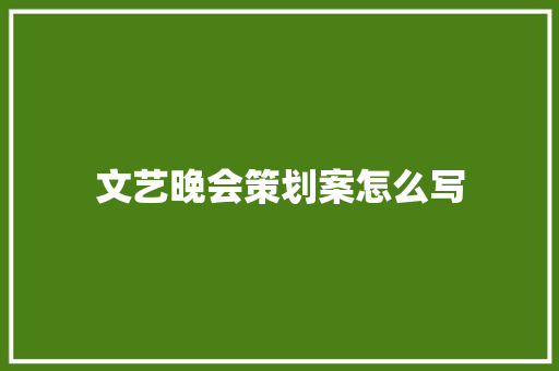 文艺晚会策划案怎么写