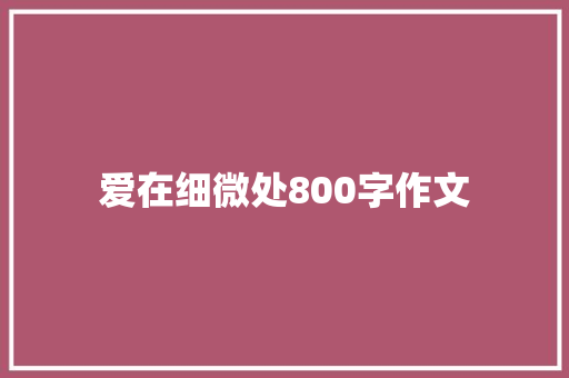 爱在细微处800字作文