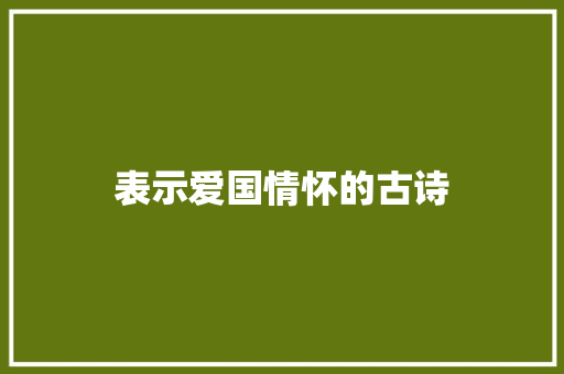 表示爱国情怀的古诗