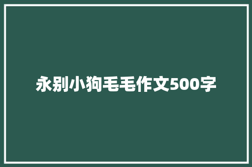 永别小狗毛毛作文500字