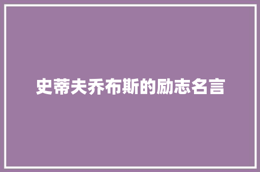 史蒂夫乔布斯的励志名言