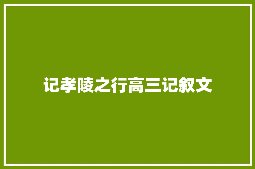 记孝陵之行高三记叙文