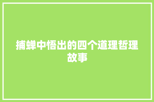 捕蝉中悟出的四个道理哲理故事