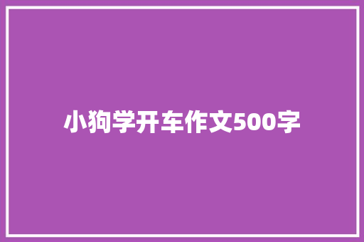 小狗学开车作文500字