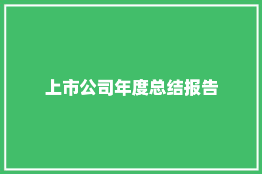 上市公司年度总结报告