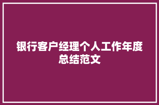 银行客户经理个人工作年度总结范文