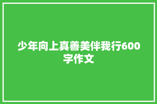 少年向上真善美伴我行600字作文