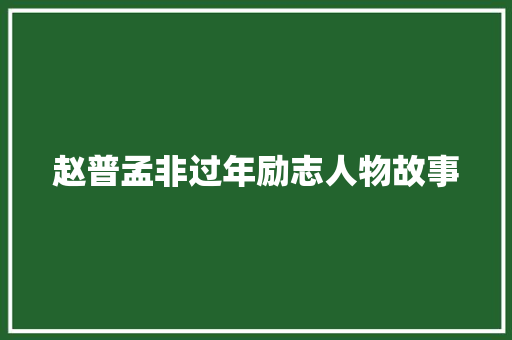 赵普孟非过年励志人物故事