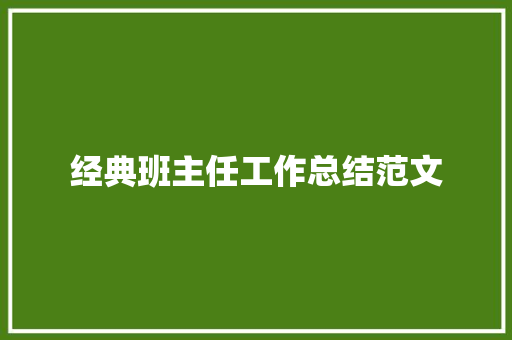 经典班主任工作总结范文