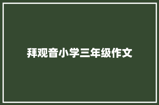 拜观音小学三年级作文