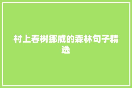 村上春树挪威的森林句子精选