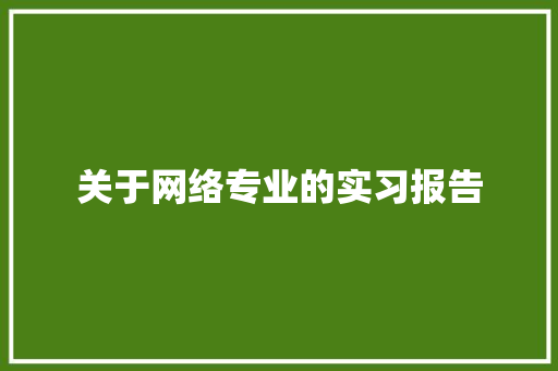 关于网络专业的实习报告