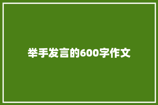 举手发言的600字作文