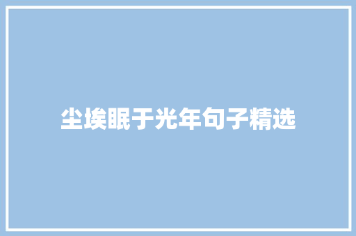 尘埃眠于光年句子精选