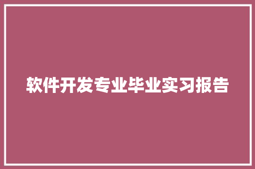 软件开发专业毕业实习报告