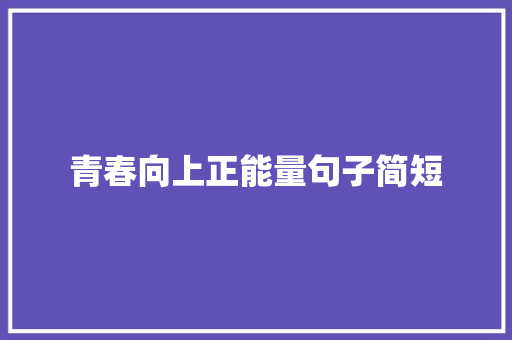 青春向上正能量句子简短