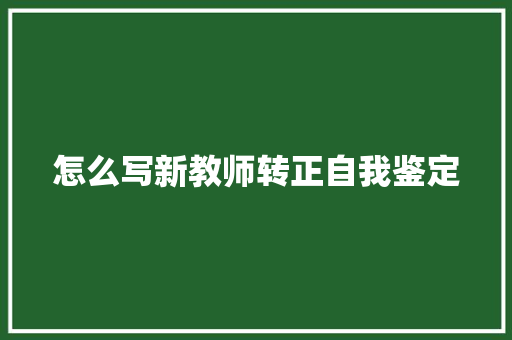 怎么写新教师转正自我鉴定