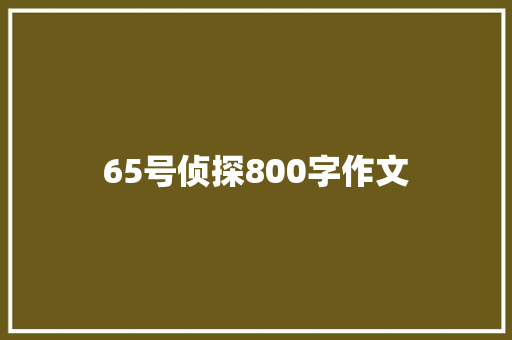 65号侦探800字作文