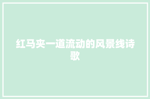 红马夹一道流动的风景线诗歌