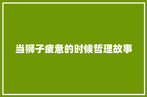 当狮子疲惫的时候哲理故事