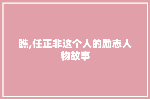 瞧,任正非这个人的励志人物故事