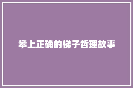 攀上正确的梯子哲理故事