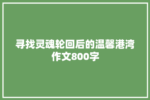 寻找灵魂轮回后的温馨港湾作文800字