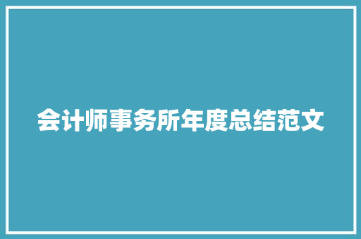 会计师事务所年度总结范文