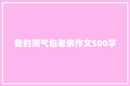 我的淘气包老弟作文500字