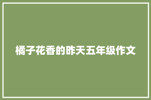 橘子花香的昨天五年级作文