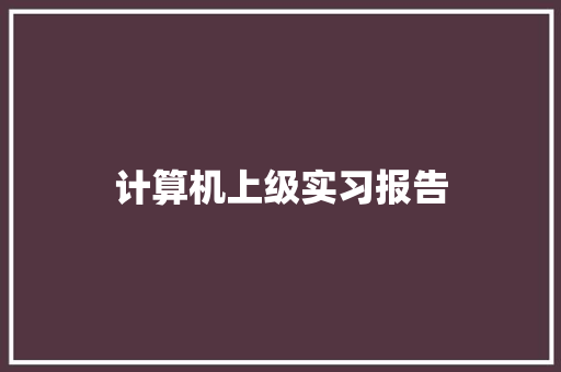 计算机上级实习报告