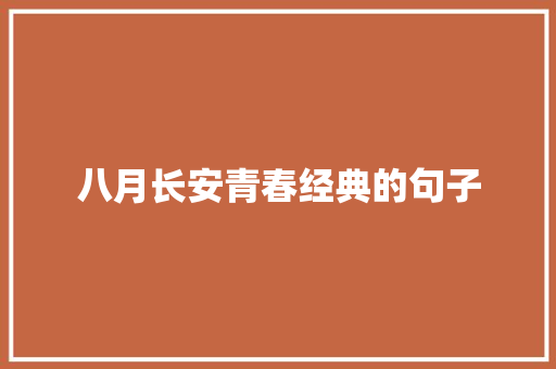 八月长安青春经典的句子