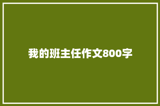 我的班主任作文800字