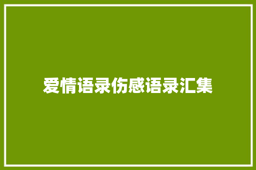 爱情语录伤感语录汇集