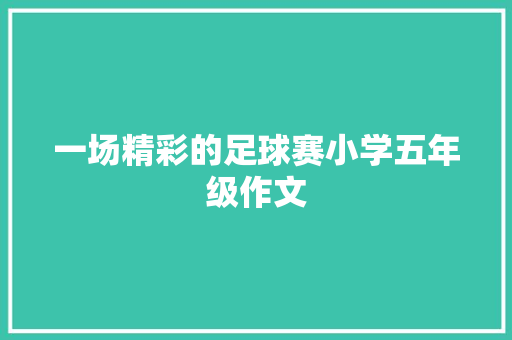 一场精彩的足球赛小学五年级作文