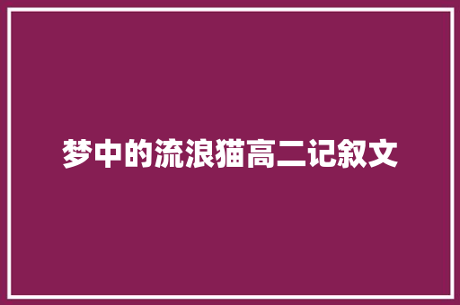 梦中的流浪猫高二记叙文