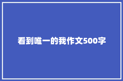 看到唯一的我作文500字