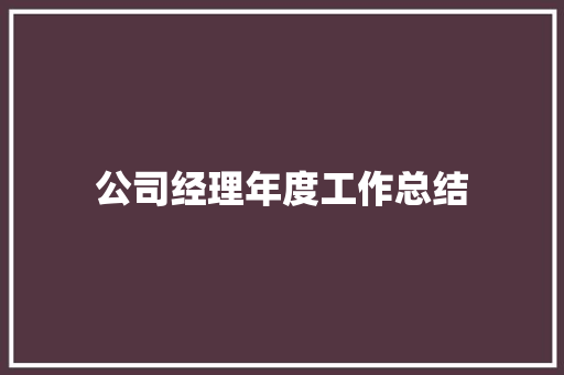 公司经理年度工作总结