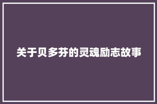 关于贝多芬的灵魂励志故事