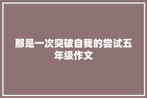 那是一次突破自我的尝试五年级作文