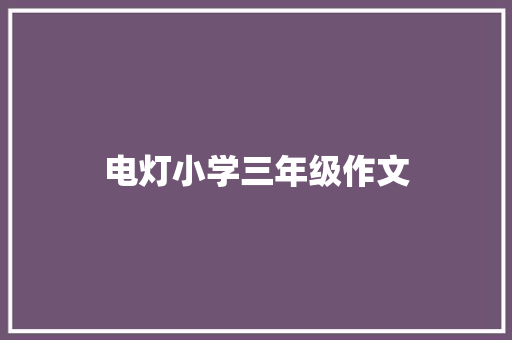 电灯小学三年级作文