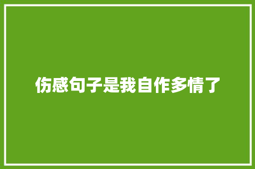 伤感句子是我自作多情了