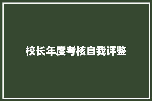 校长年度考核自我评鉴