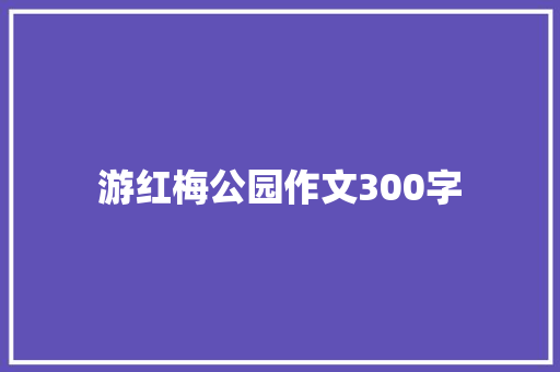 游红梅公园作文300字