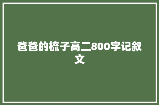 爸爸的梳子高二800字记叙文 申请书范文