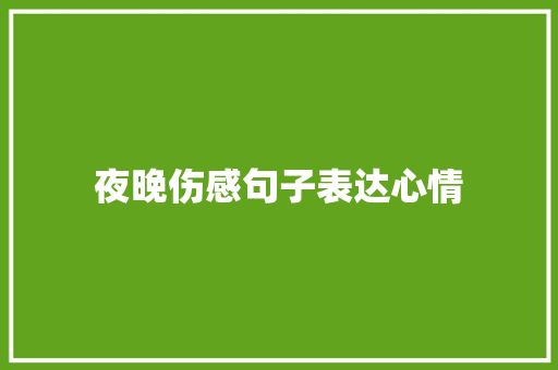 夜晚伤感句子表达心情